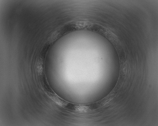 X0000084050226200702240000