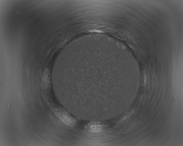 X0000084050228200702240000