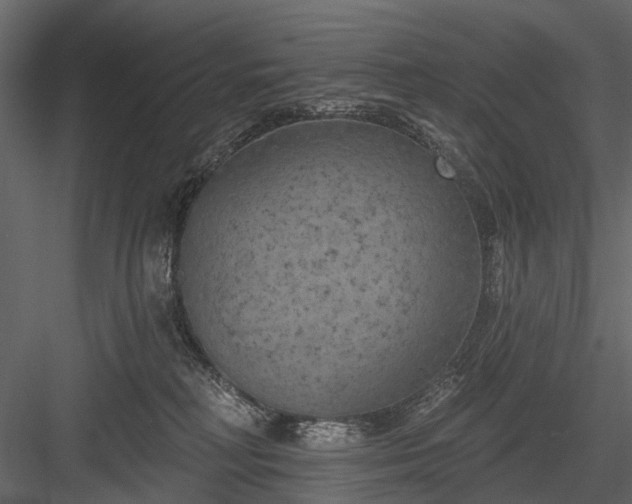 X0000084050230200702240000