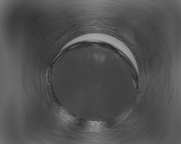 X0000084050233200702240000