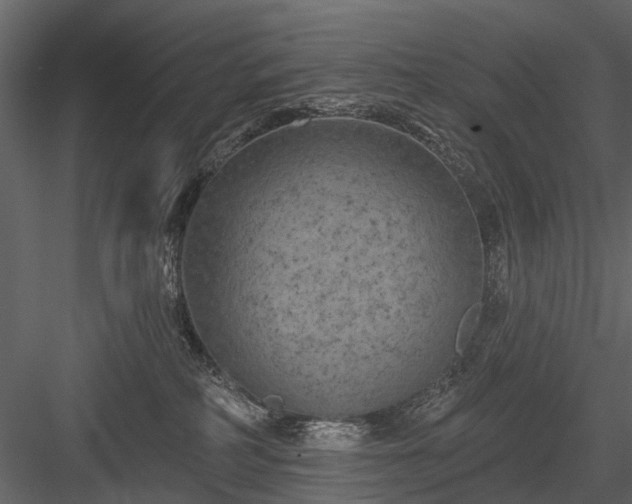 X0000084050234200702240000