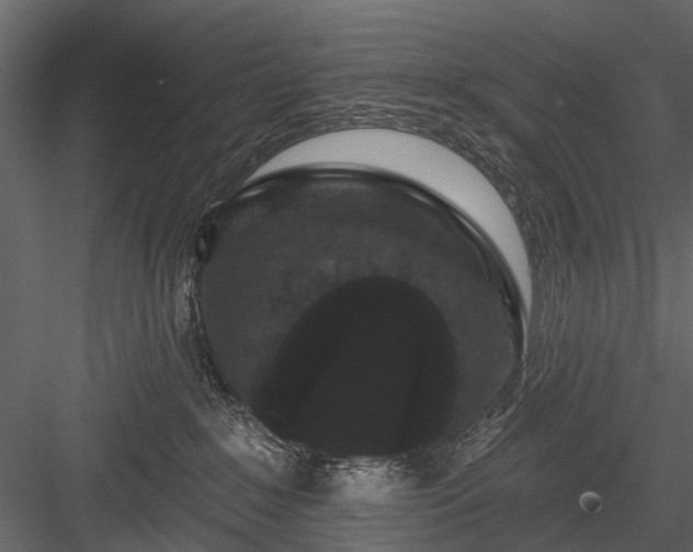 X0000084050235200702240000