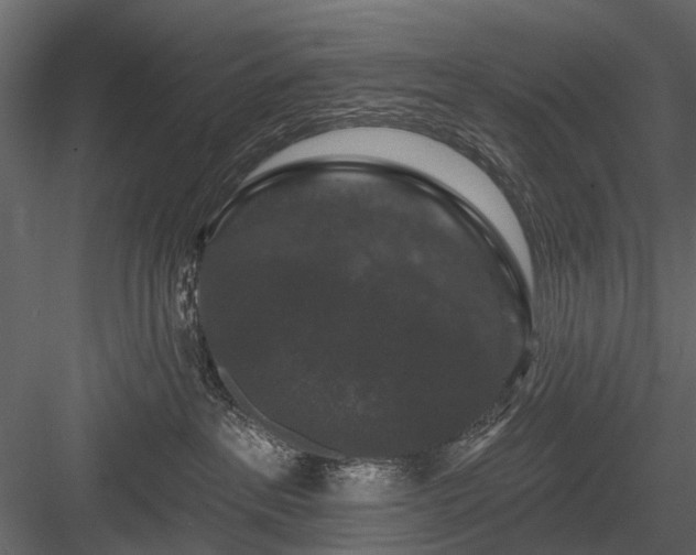 X0000084050237200702240000