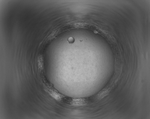 X0000084050240200702232359