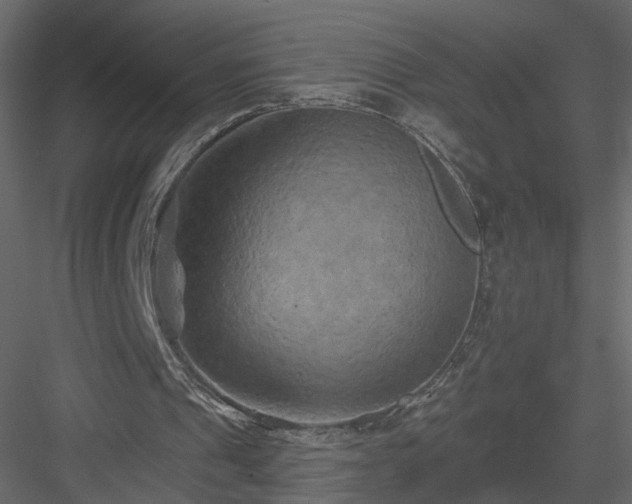 X0000084050241200702232359