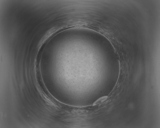 X0000084050242200702232359