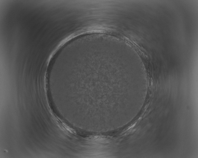 X0000084050244200702232359