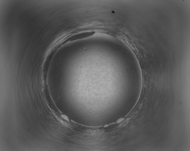 X0000084050245200702232359