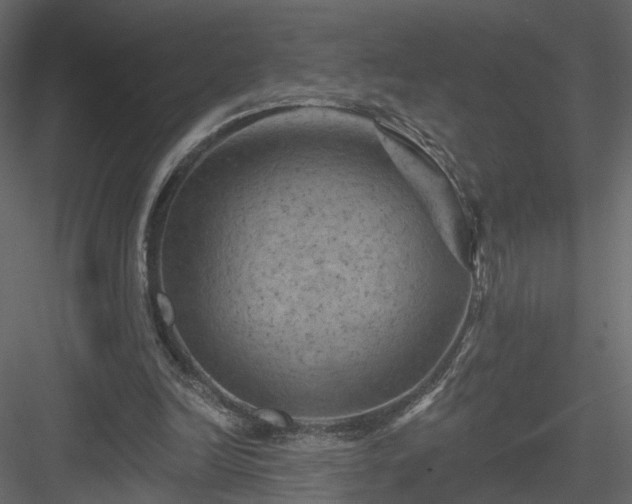 X0000084050246200702232359