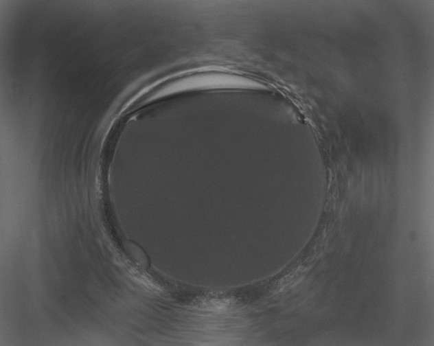 X0000084050247200702232359