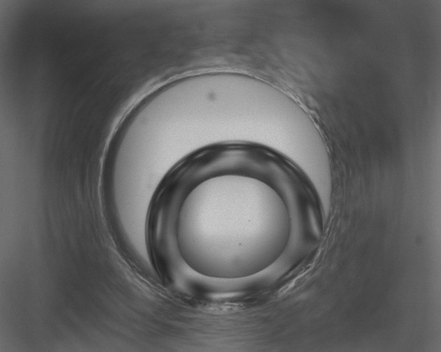 X0000084050248200702232359