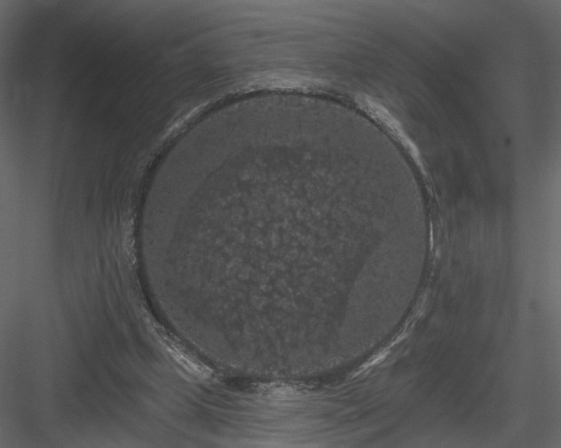 X0000084050249200702232359