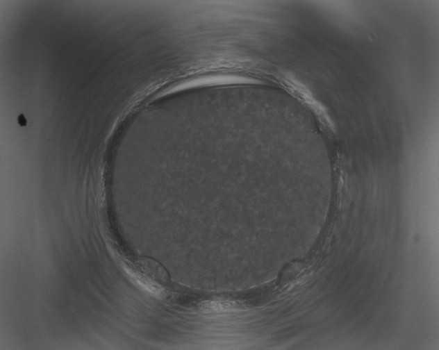 X0000084050250200702232359