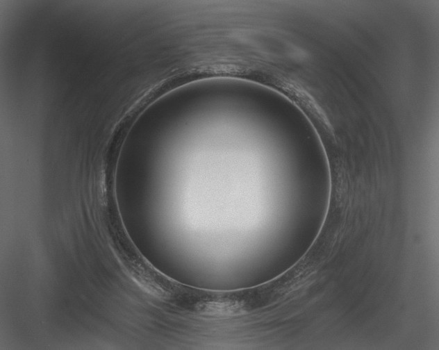 X0000084050251200702232359