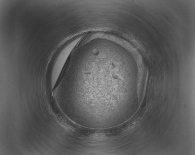 X0000084050252200702232359