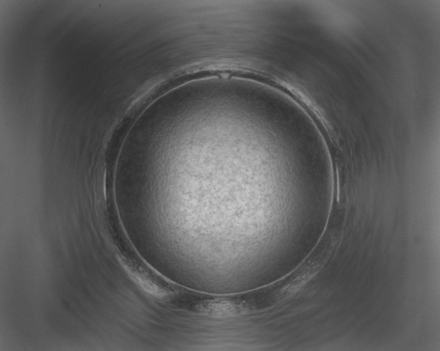 X0000084050253200702232359