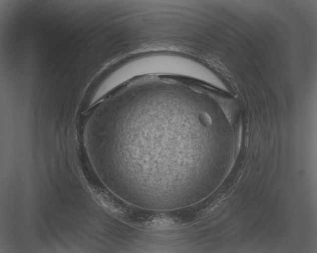 X0000084050256200702232359