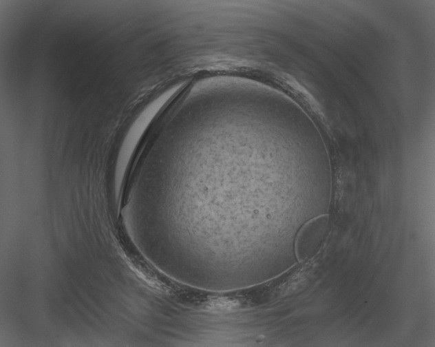 X0000084050257200702232359