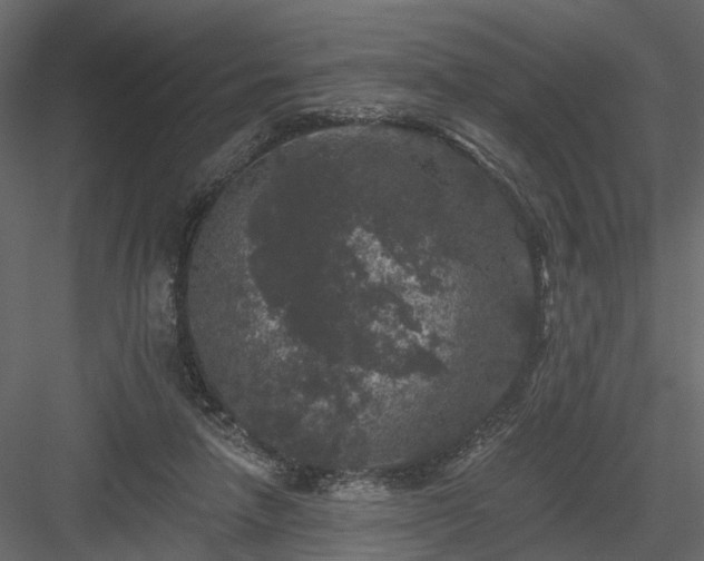 X0000084050258200702232359