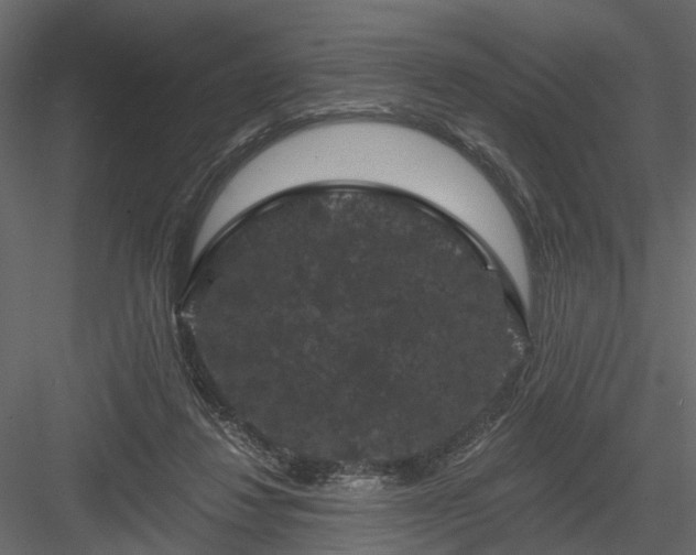 X0000084050260200702232359