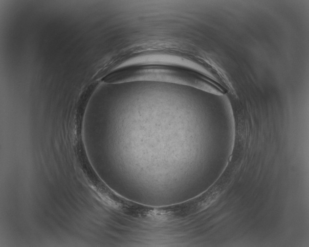 X0000084050261200702232359