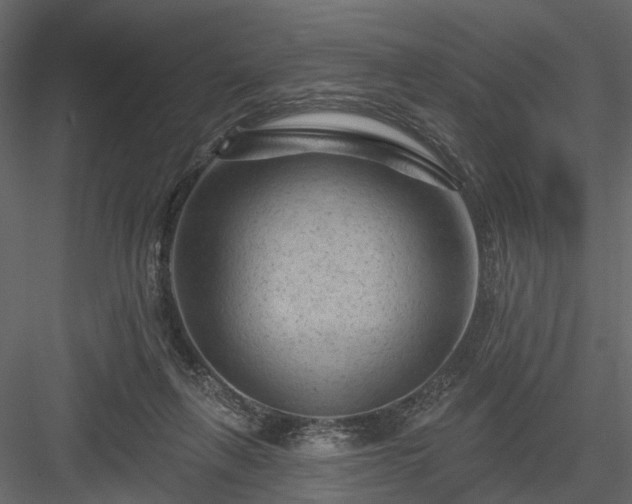 X0000084050263200702232359