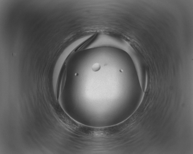 X0000084050264200702232359