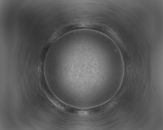 X0000084050265200702232359