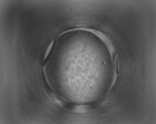 X0000084050268200702232359