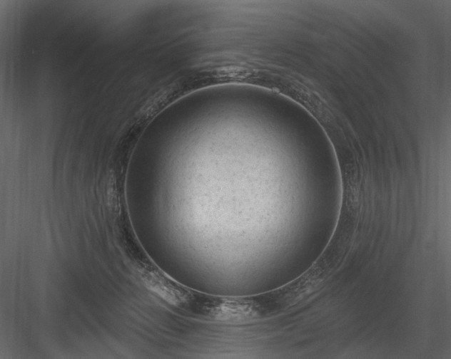 X0000084050270200702232359