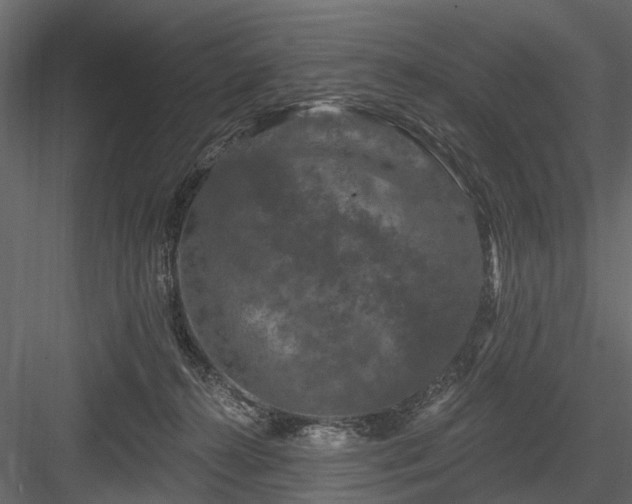 X0000084050272200702232359