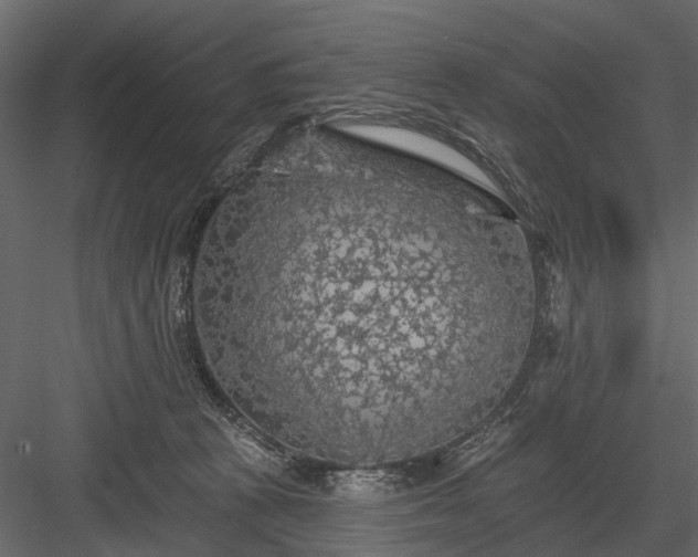 X0000084050273200702232359