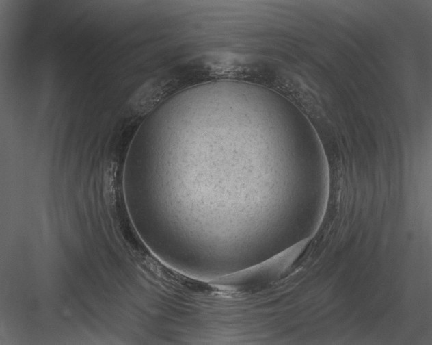 X0000084050275200702232359