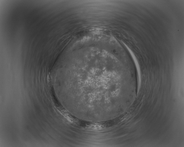 X0000084050276200702232359