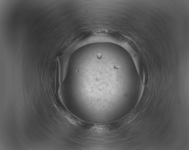 X0000084050280200702232359