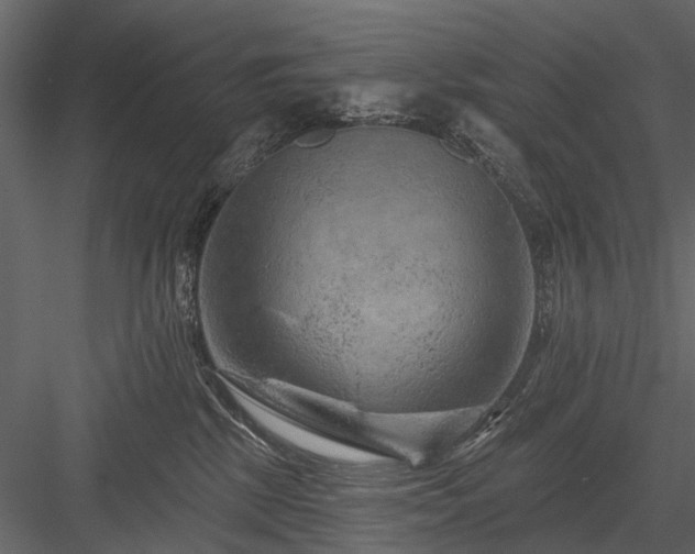 X0000084050281200702232359