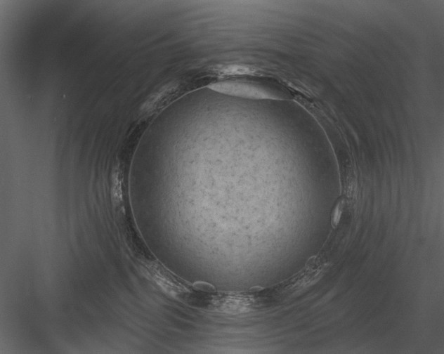 X0000084050282200702232359