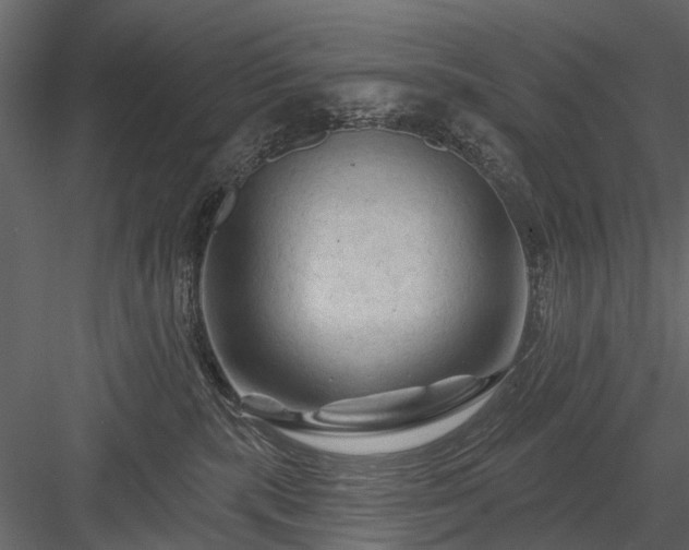 X0000084050283200702232359