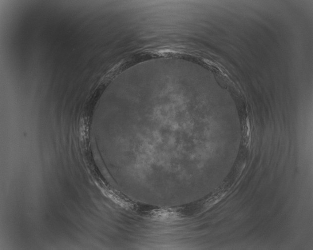 X0000084050284200702232359