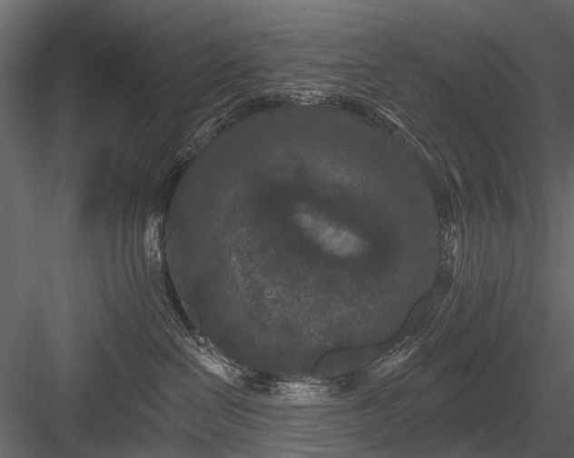 X0000084050286200702232359