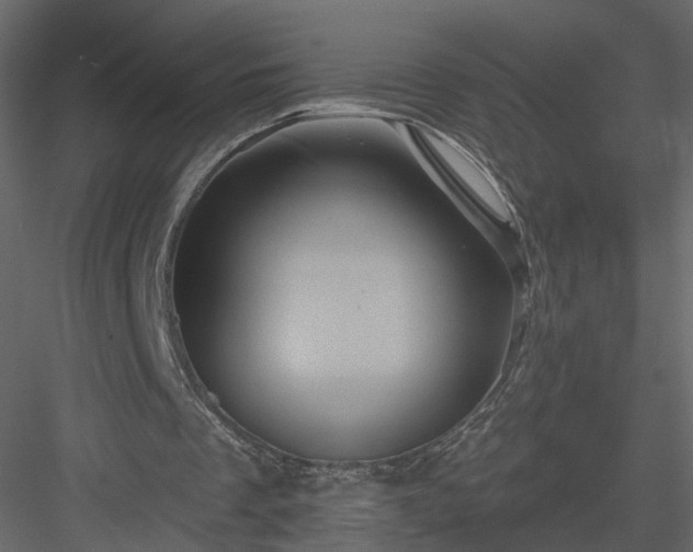 X0000084050289200702232359