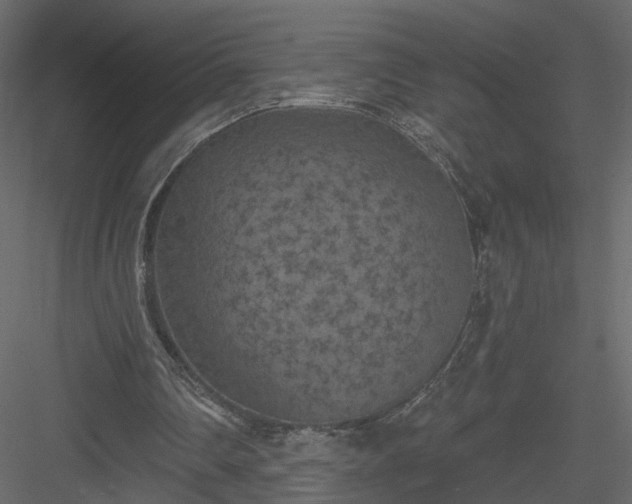 X0000084050290200702232359