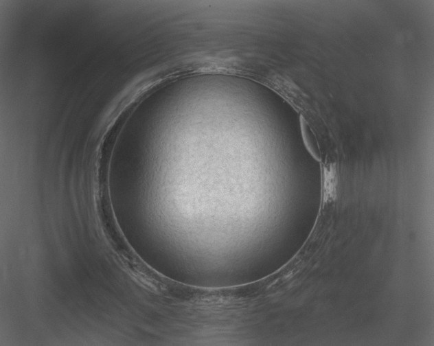 X0000084050291200702232359