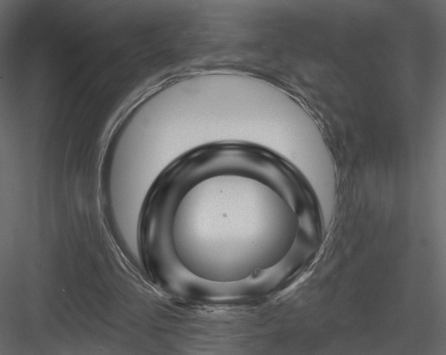 X0000084050293200702232359