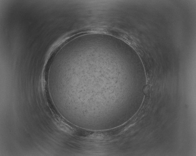 X0000084050294200702232358