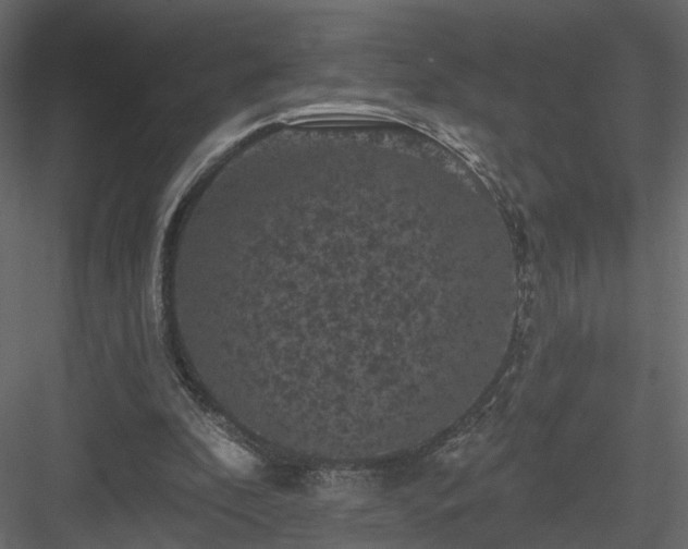 X0000084050296200702232358