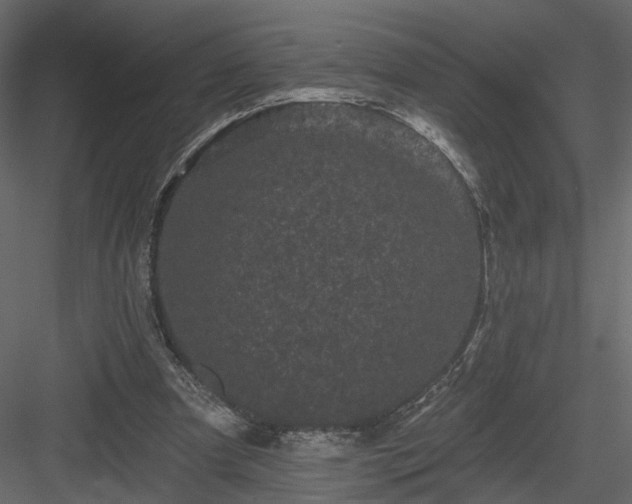 X0000084050297200702232358