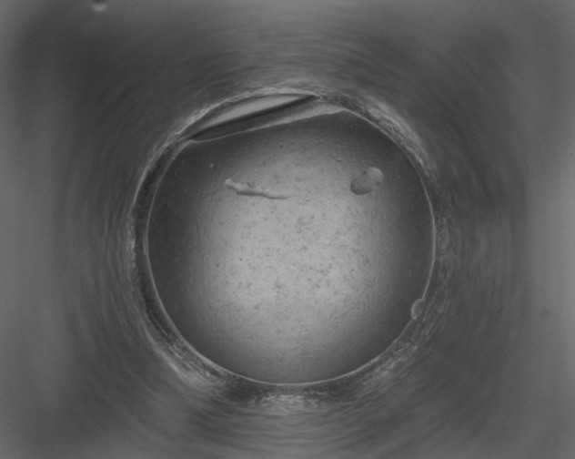 X0000084050298200702232358