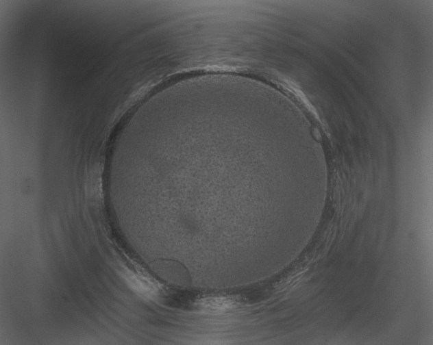 X0000084050299200702232358