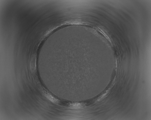 X0000084050301200702232358